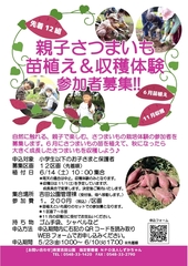 親子さつまいも苗植え＆収穫体験