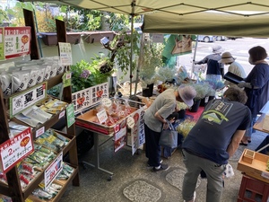 月替りで静岡のおいしい食べもの屋さんが出店します。