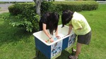 氷くじ