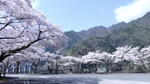 湖岸広場