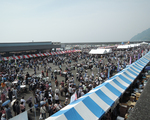 潮風を感じながらサクラエビを堪能