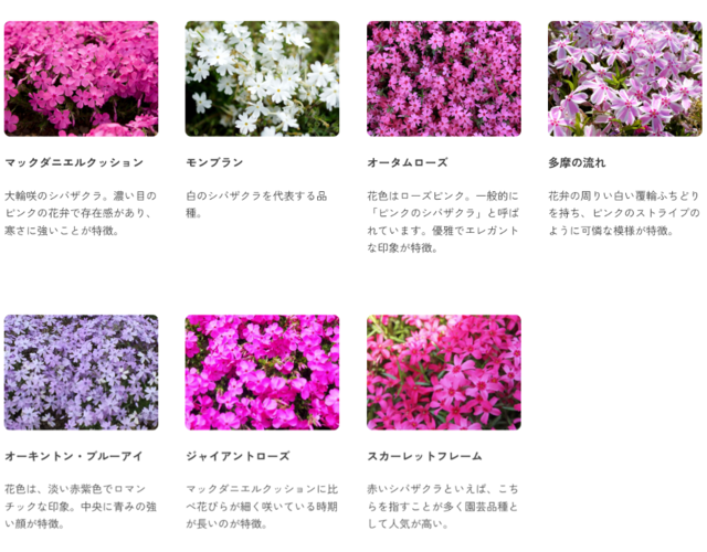 芝桜7種