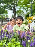 市内の花と緑の美しいまちなみを巡り、三島の魅力を再発見