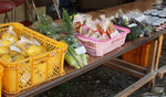 地場野菜、物産品販売