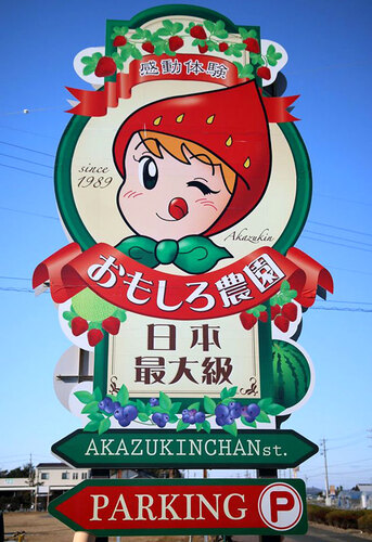 さつまいも掘り体験 赤ずきんちゃんのおもしろ農園 掛川市 アットエス