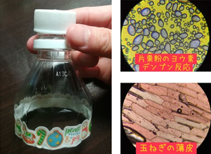 なんとペットボトルで顕微鏡が出来ちゃうんです。