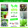 多肉植物マーケットin静岡展示場　SBSマイホームセンター　静岡展示場