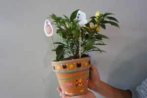 ハロウィンの鉢植え作り