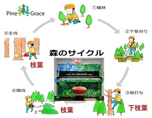 森の循環