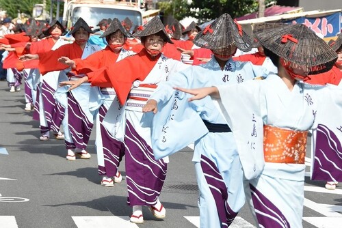 三嶋大根祭り（大根干し）