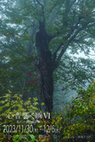 土屋正英 先生主宰の 第Ⅵ回【心音響く瞬（とき）】写真展