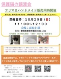 保護猫の譲渡会