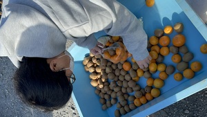 お菓子詰め放題