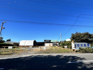 みかん キウイ詰め放題