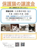 保護猫の譲渡会
