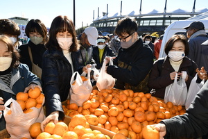 第２回の会場の様子です。みかんをはじめ地元特産の販売ブースは大賑わいでした！
