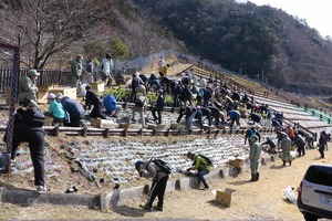 昨年度の植栽の様子