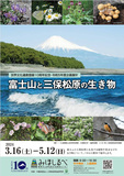 富士山とその構成資産である三保松原に生息する生き物について紹介します