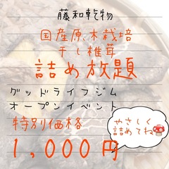 藤和乾物さん
