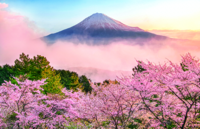 あなたの撮影した富士山が、２０２５年の静岡中央銀行カレンダーに採用されるかも！
