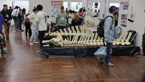 2023年大阪市立自然史博物館でのホネホネサミットの様子