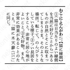 ゲスト①猫に縁側〔静岡市・古民家の古本屋&レンタルスペース〕
