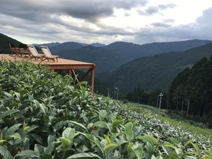 つちや農園ティーテラス