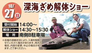 ステージプログラム
