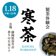 「寒茶」の製造体験会を袋井市で開催します。