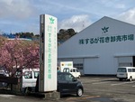 会場の「するが花き卸売市場」です。