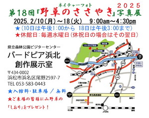開催期間と会場案内図