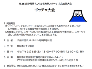 ボッチャ交流大会参加者募集