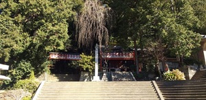 見どころ：清水寺