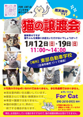 譲渡会ポスター