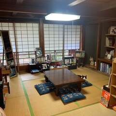 書肆猫に縁側　店内（と看板猫）