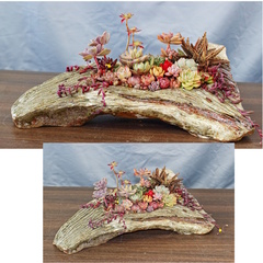 陶器で作った流木風多肉寄せ植え