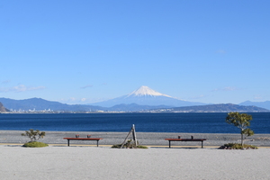 石津海岸公園