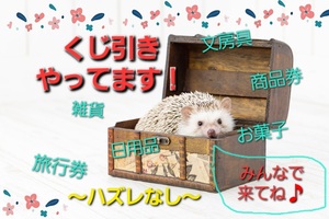 抽選会