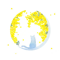 展示作品「 cat & mimosa 」(新作）