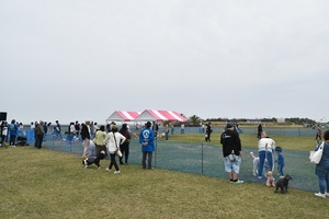 広い２面のドッグラン
