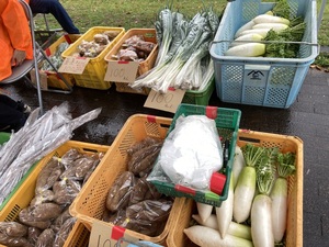 地場産の新鮮野菜