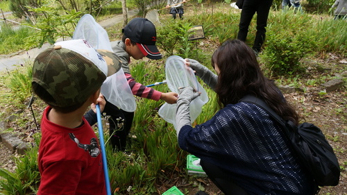 みどり～な環境教室　春の虫をさがしに行こう！