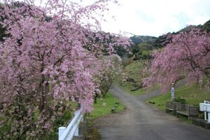 公園入口付近です