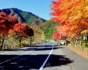 大野木バス停付近