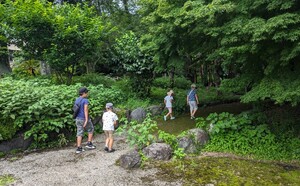 浮島ヶ原自然公園で植物や昆虫を観察しよう♪