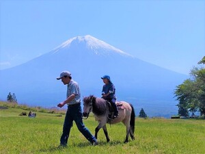 大草原で乗馬体験！