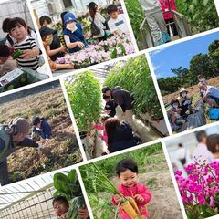 生産現場では、はじめてみる光景に大はしゃぎ、新鮮直売に大興奮、