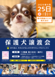保護犬、そして保護活動を知ってください　～殺処分・虐待ゼロを目指して～