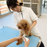 静岡県内19校の専門学校による「おしごと体験フェスタ」を開催します！