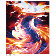 生命彷徨う F100